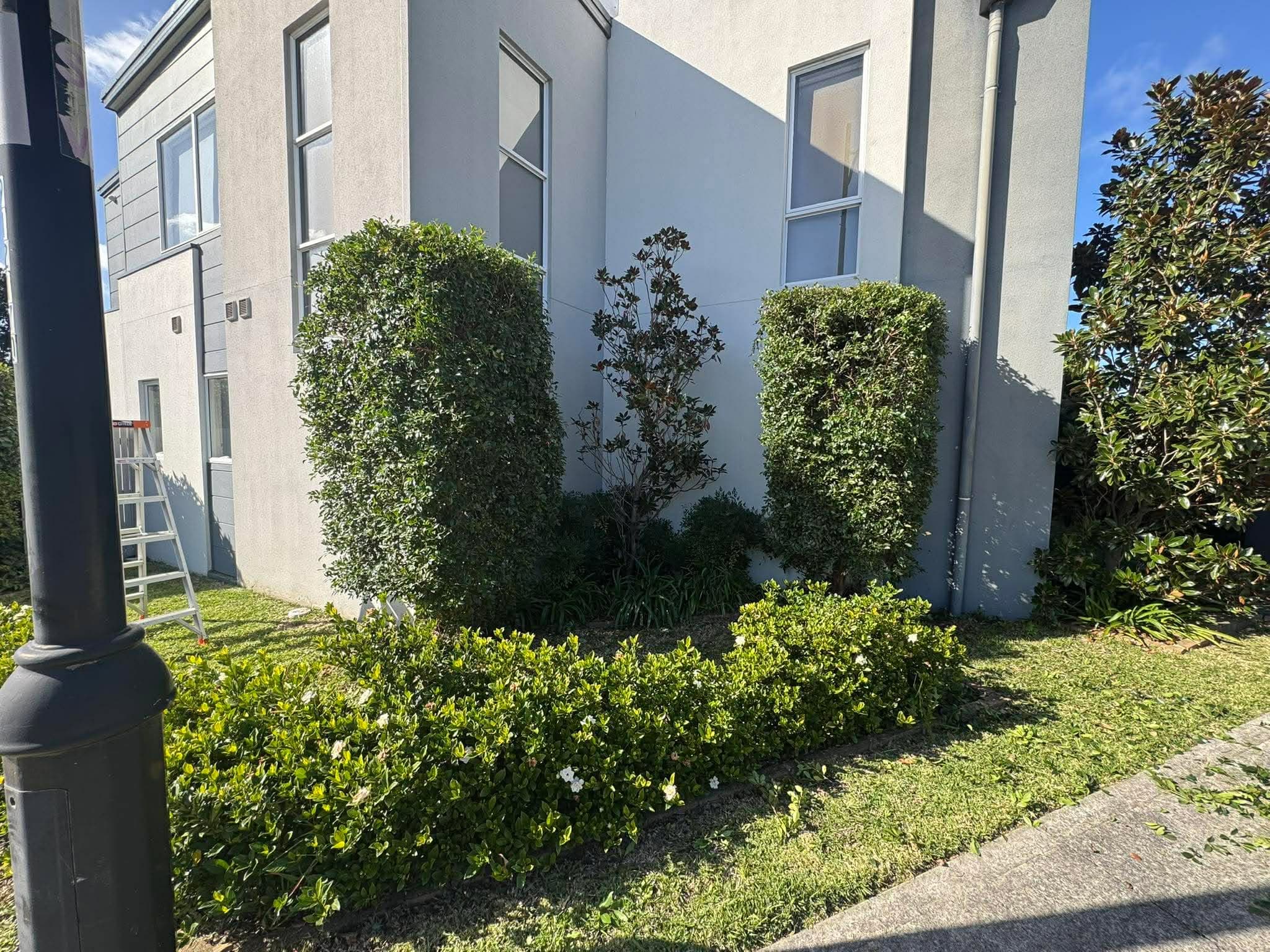 Landscaping photo